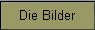 Die Bilder