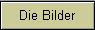 Die Bilder